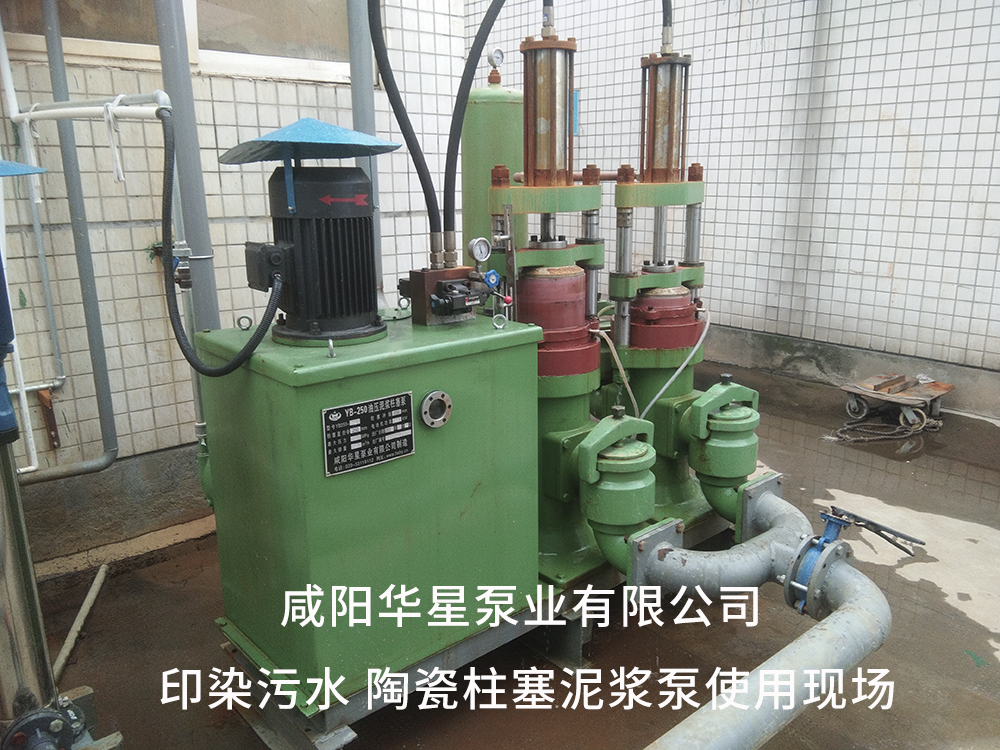 印染污水处理用压滤机入料泵