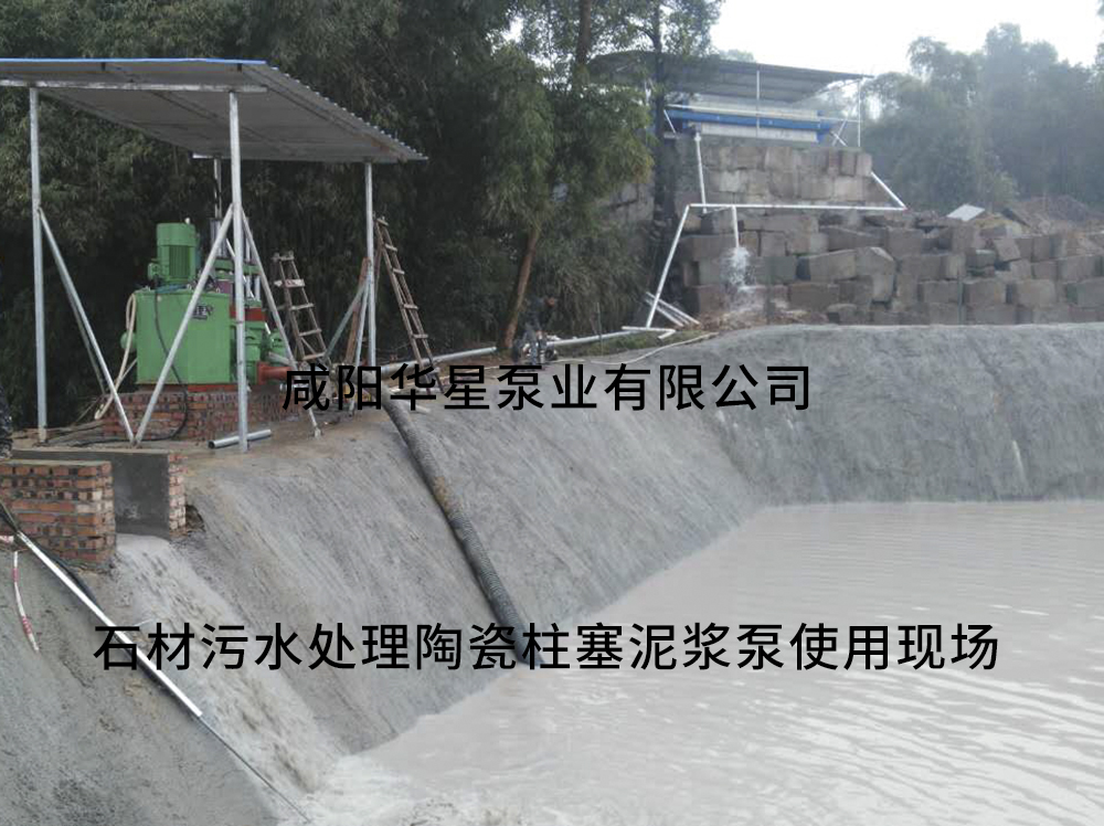 北京陶瓷柱塞泵价格