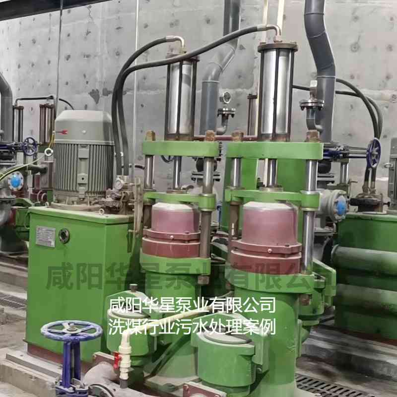 压滤机入料泵在洗煤厂使用现场图片