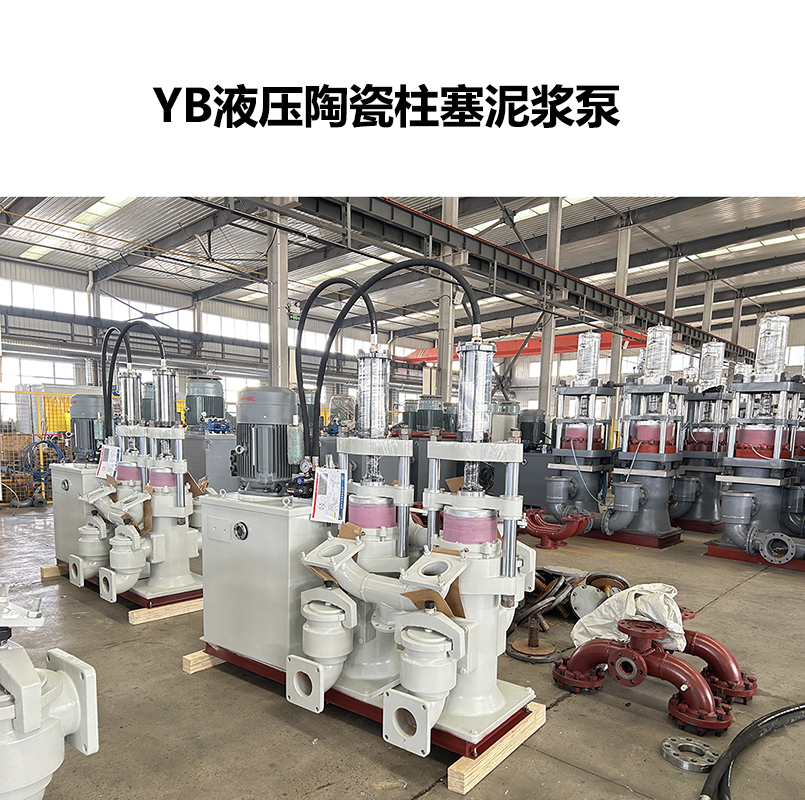 污泥输送 柱塞泵