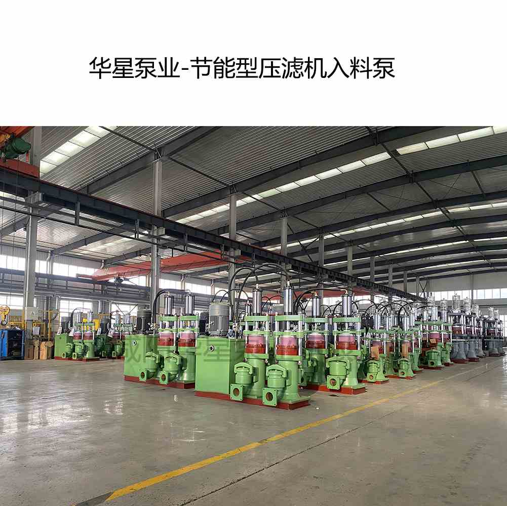 华星泵业-节能型压滤机入料泵