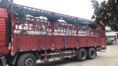 江西客户定制高压陶瓷柱塞泵(30公斤)顺利发货